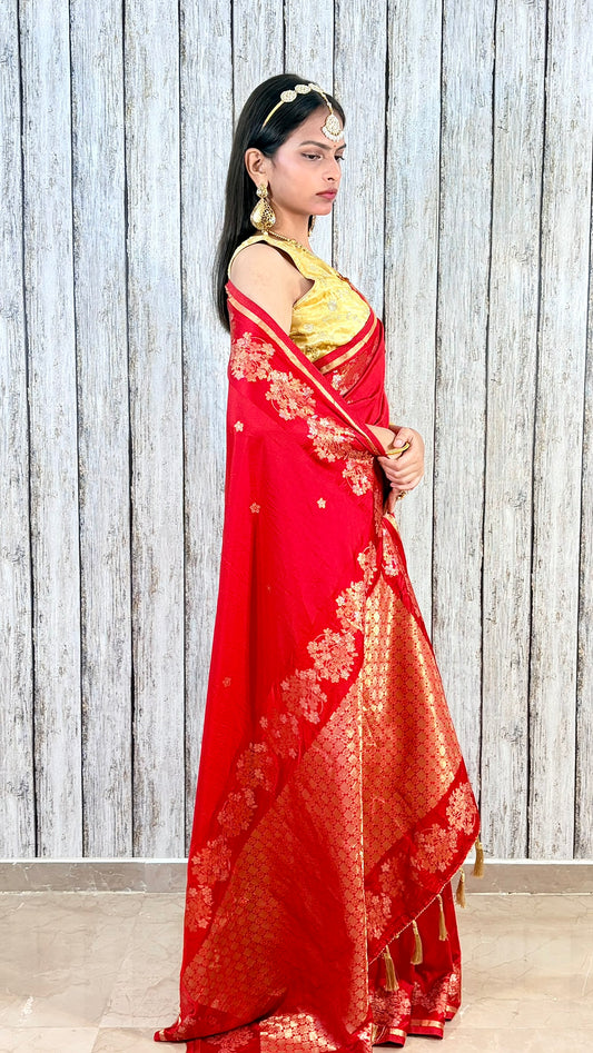 Dola Silk with Golden Zari  border