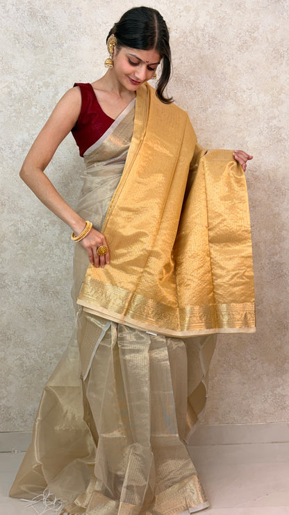 Graceful pose in Golden Tissue Saree with Banarasi craftsmanship and rich texture