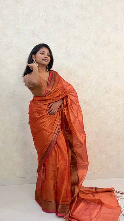 Elegant Tissue Saree with Reshim Border – Grace Meets Tradition
