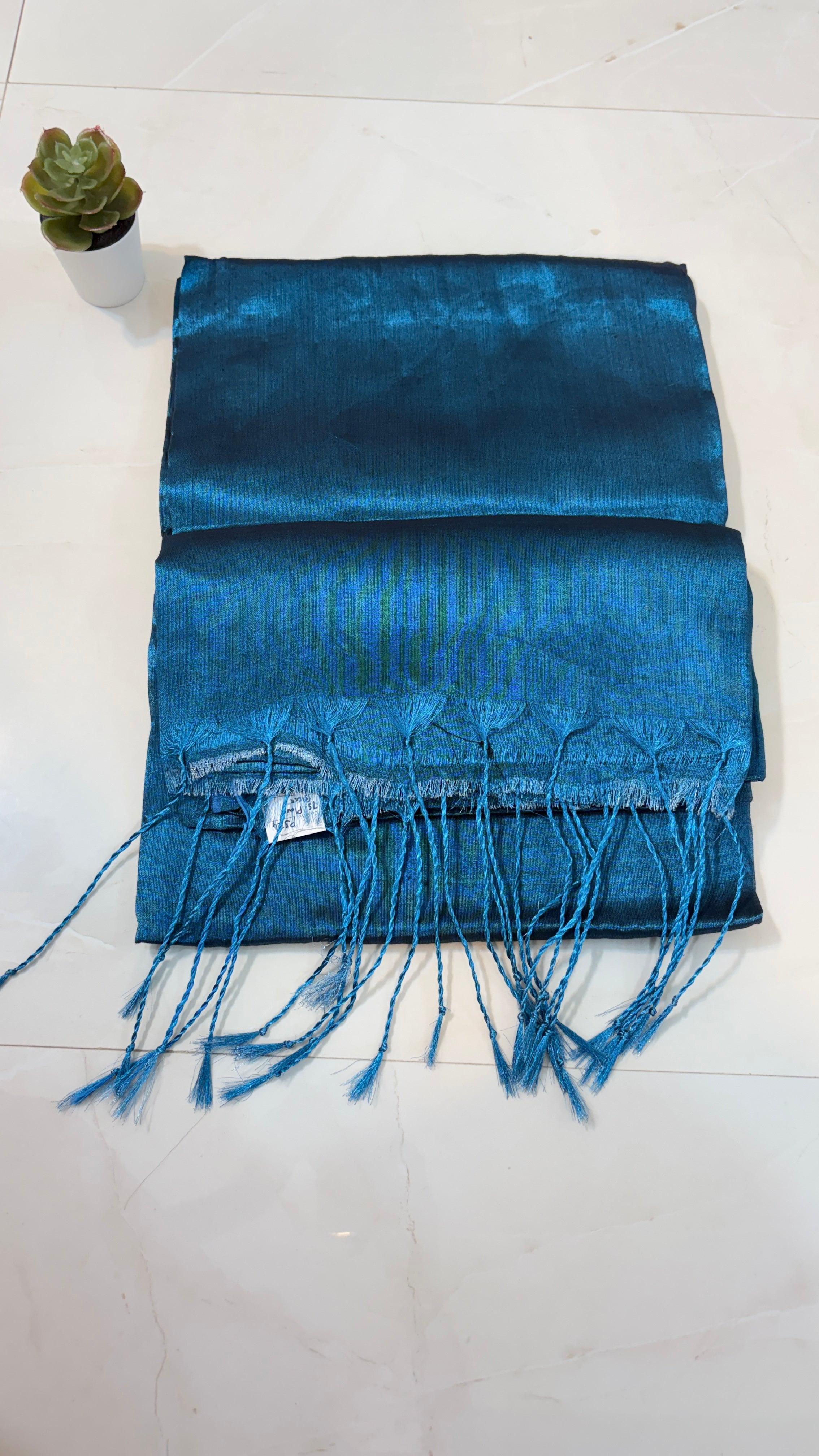 Plain Tissue Saree for Modern Moods