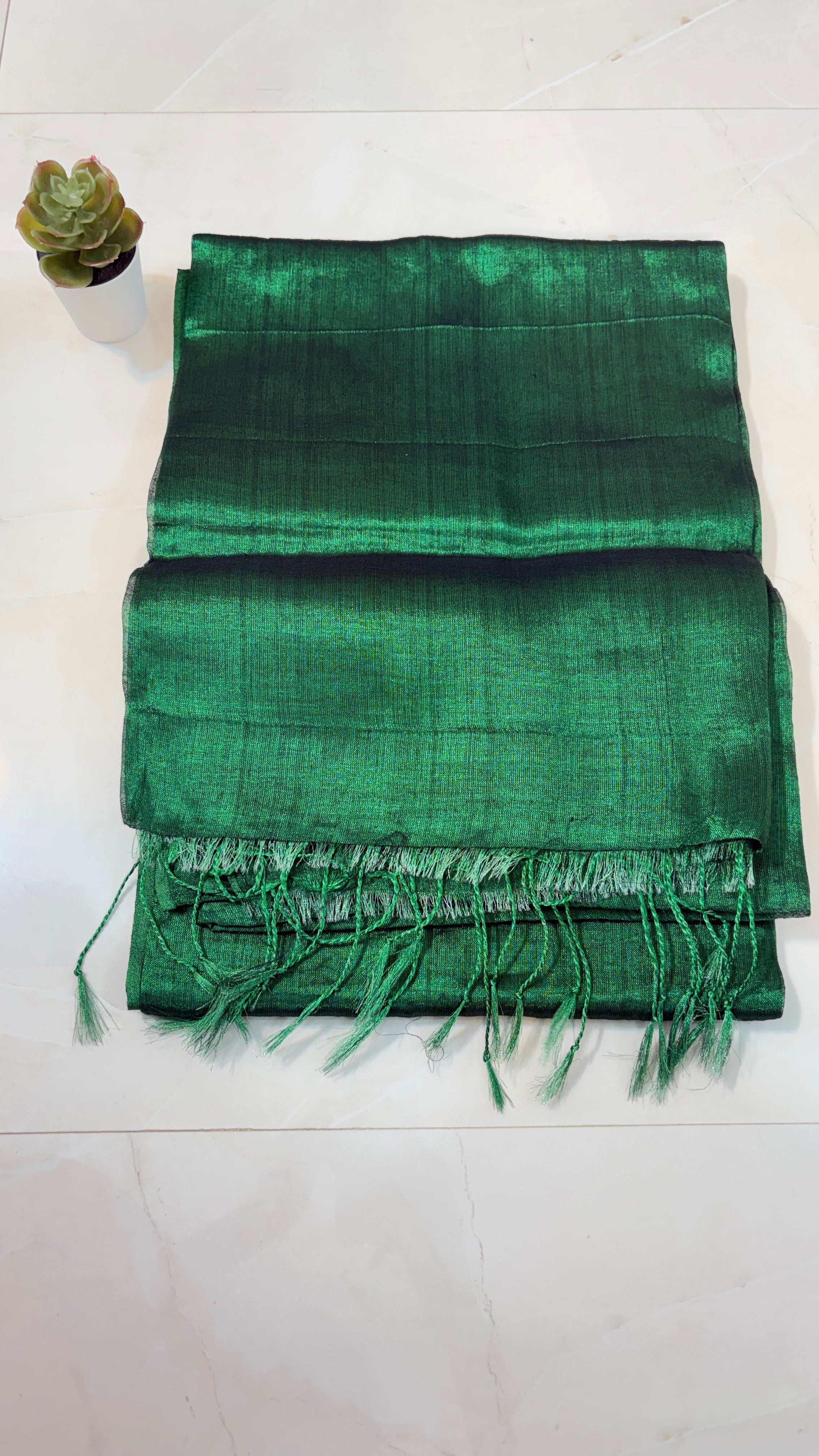 Plain Tissue Saree for Modern Moods