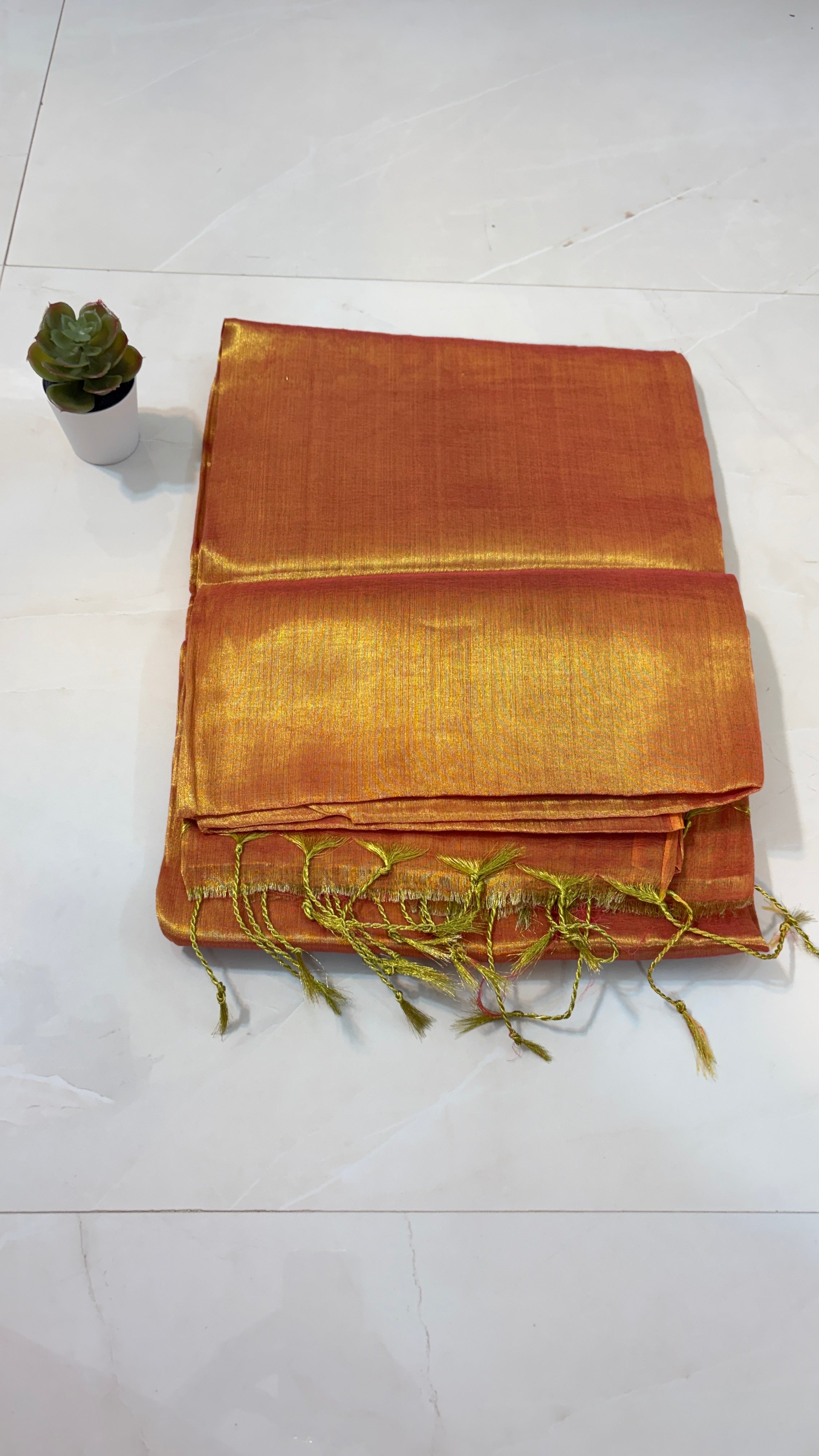 Plain Tissue Saree for Modern Moods