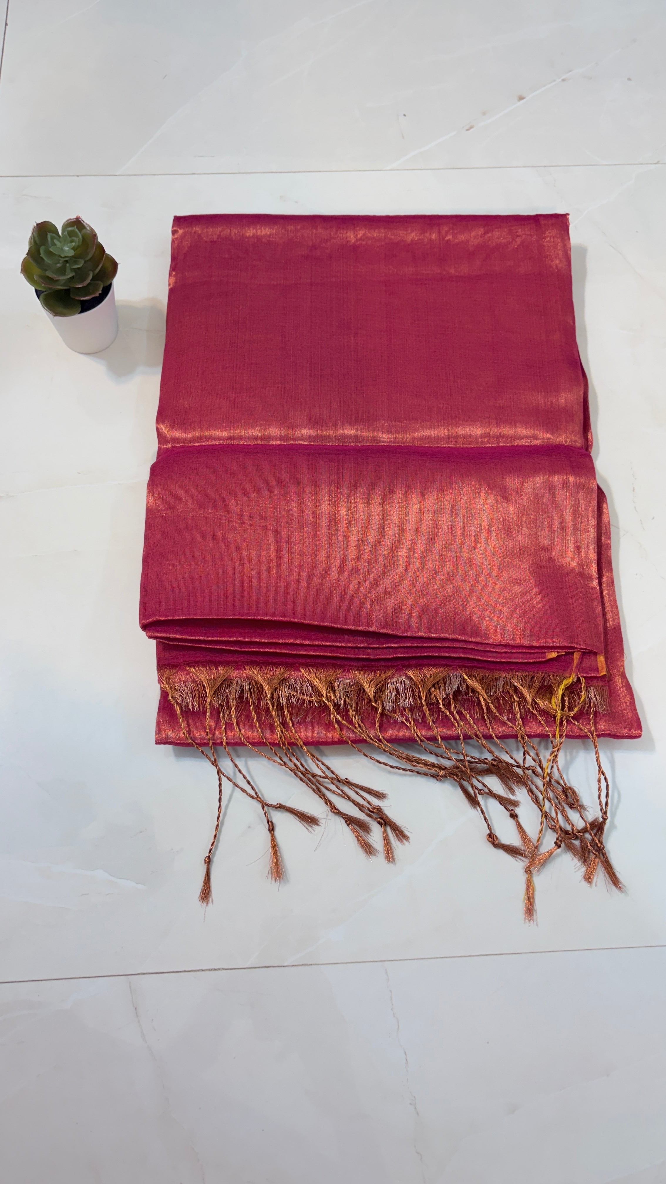Plain Tissue Saree for Modern Moods