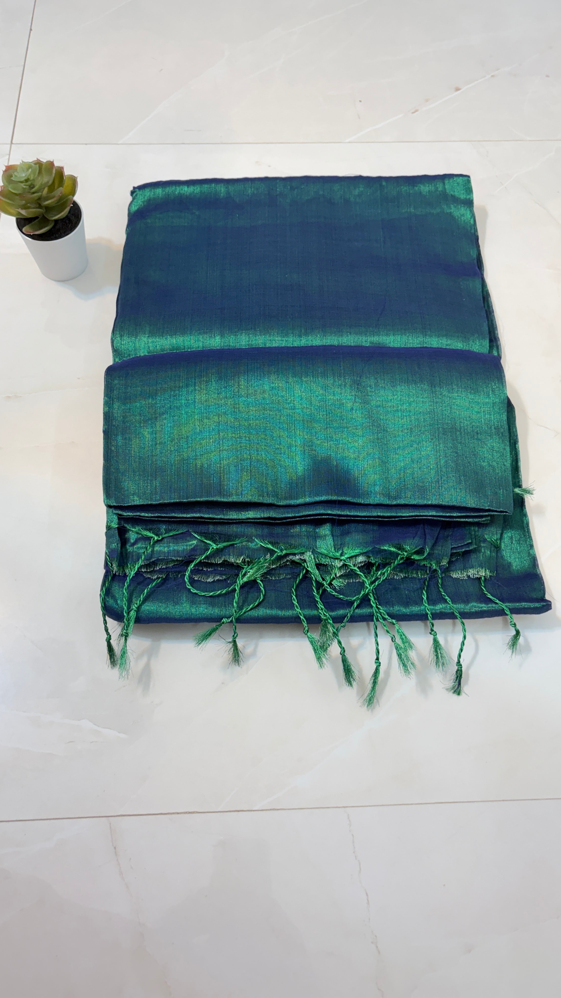 Plain Tissue Saree for Modern Moods